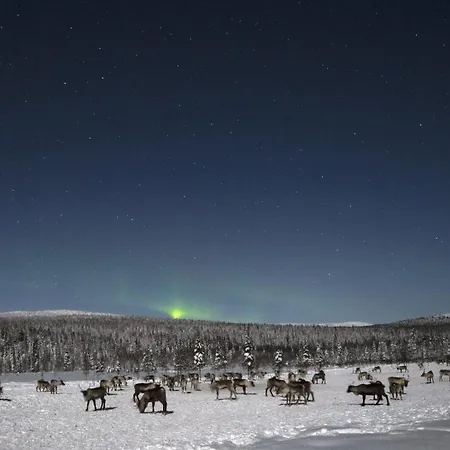 Nivunki Village Rezort Muonio