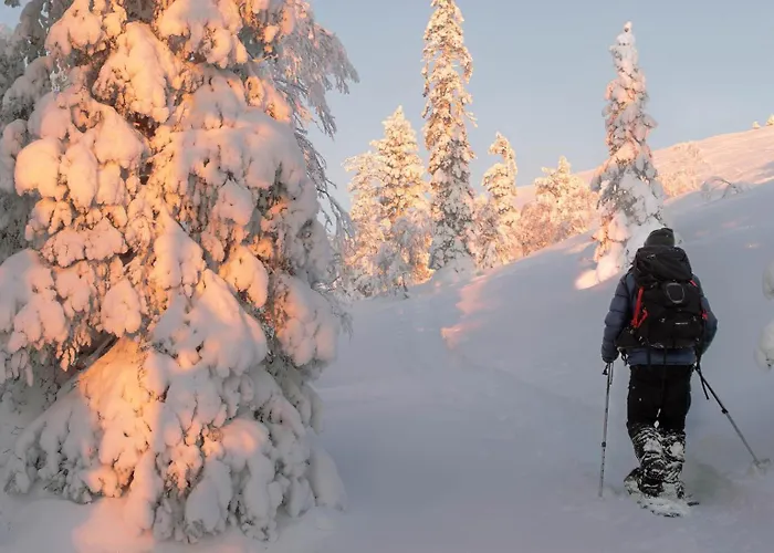 Lomakeskus Nivunki Village *