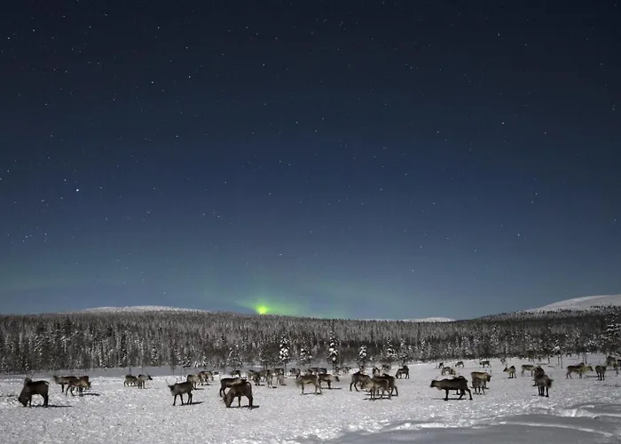Nivunki Village Lomakeskus Muonio